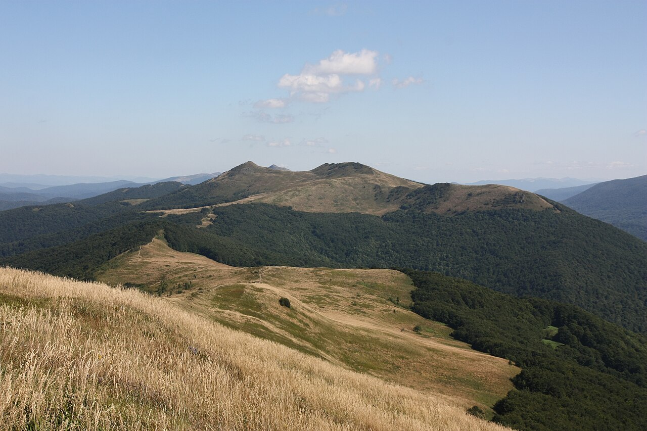 https://upload.wikimedia.org/wikipedia/commons/thumb/a/ad/Po%C5%82onina_Wetli%C5%84ska_-_Smerek_06.jpg/1280px-Po%C5%82onina_Wetli%C5%84ska_-_Smerek_06.jpg
